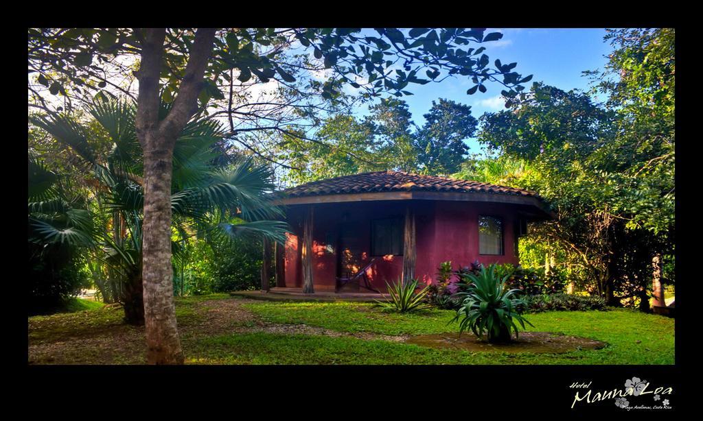 Hotel Mauna Loa Pinilla Kamer foto
