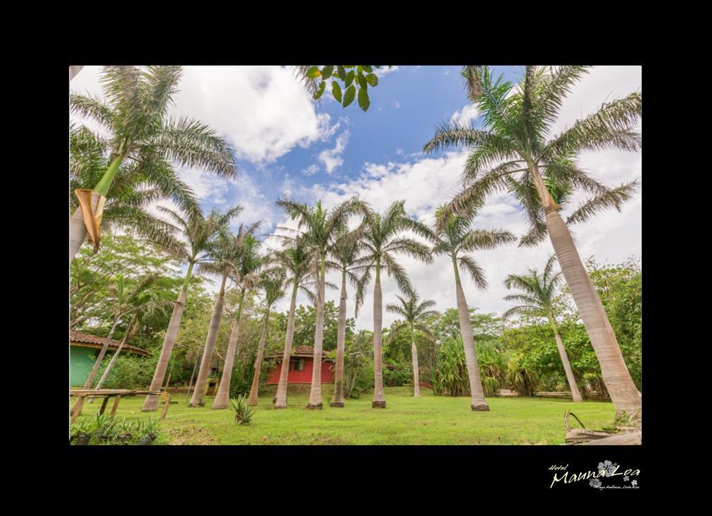 Hotel Mauna Loa Pinilla Buitenkant foto